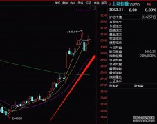 股民3倍杠杆炒股被强平 20万本金仅剩892元
